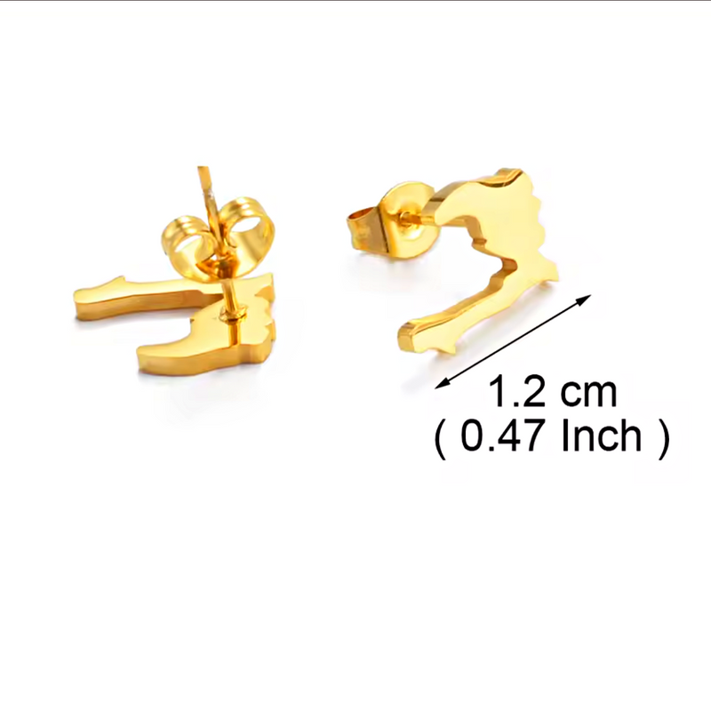 Haiti Map Stud Earrings