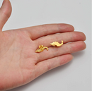 Mexico Map Stud Earrings