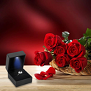 Square-Shaped LED Light Gift ring box