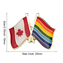Lgbtqai+ & Canada Friendship Flags Lapel Pin
