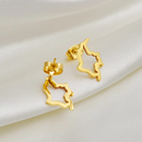 Colombia Map Stud Earrings