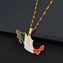 Mexico map with Flag Pendant Necklace