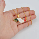 Mexico map with Flag Pendant Necklace