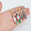 Palestine Map with Flag Pendant Necklace