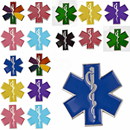 Star of Life Lapel Pin