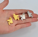 Bangladesh Map Stud Earrings