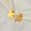 Bangladesh Map Stud Earrings