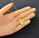 Bangladesh Map Pendant Necklace
