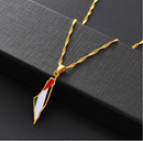 Palestine Map with Flag Pendant Necklace